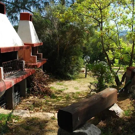 Is Cannisonis טורה דיי קורסרי