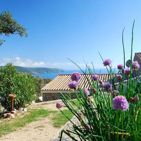 Lejlighed Is Cannisonis