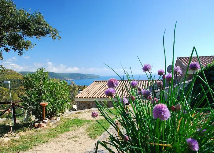 Apartman Is Cannisonis